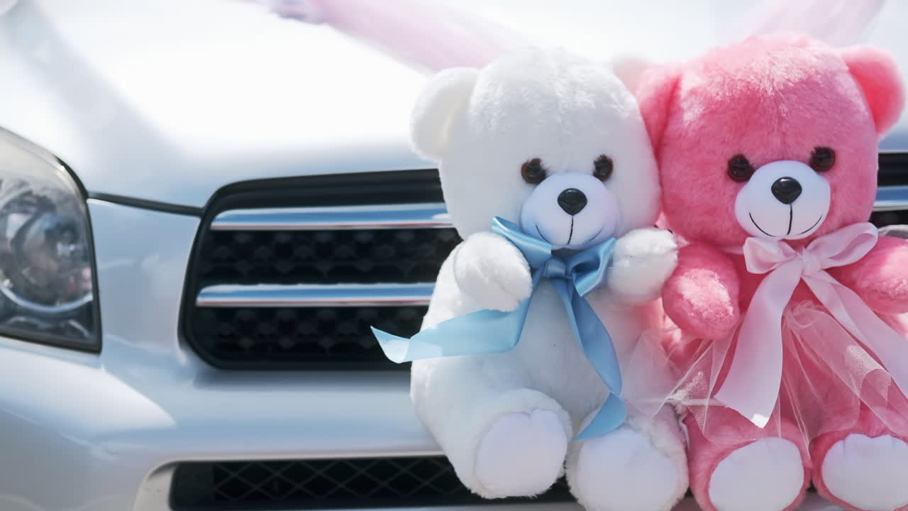 White and pink teddy bears attached to the car's muzzle. Wedding