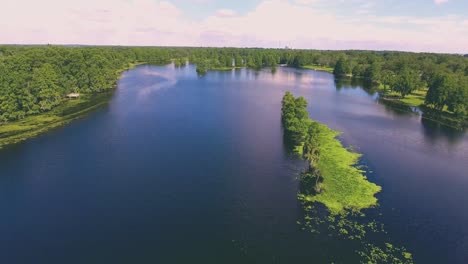 4k cypress tree on the hillsborough river in tampa, fl