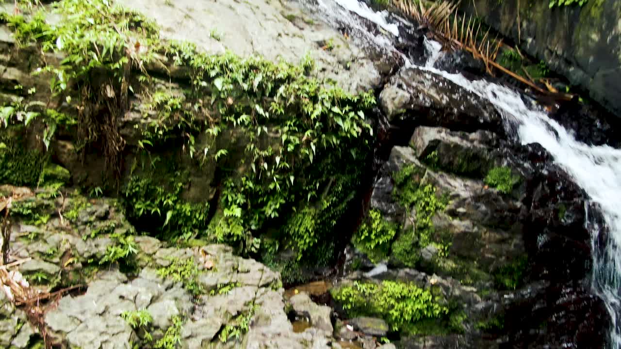 selva densa, acantilado rocoso y río salvaje, vista en movimiento