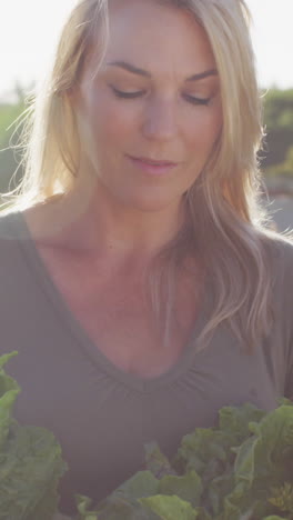 video of happy caucasian woman with box of fresh vegetables in field on sunny day