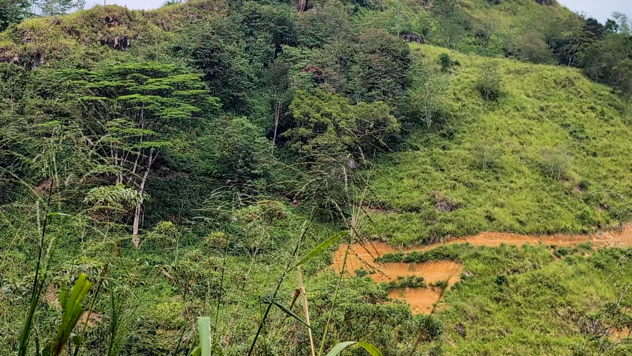 Malerischer Panoramablick auf Teeplantagen in bergiger Landschaft mit dem Devon Falls Wasserfall im Hochland von Sri Lanka