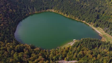 top view aerial flight over small lake of round shape