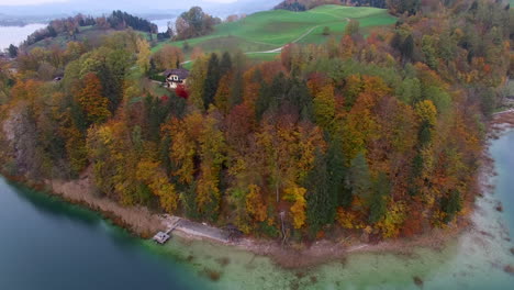 Toma-Aérea-De-Un-Bosque-Colorido-Junto-A-Un-Lago-En-Austria,-4k-Uhd