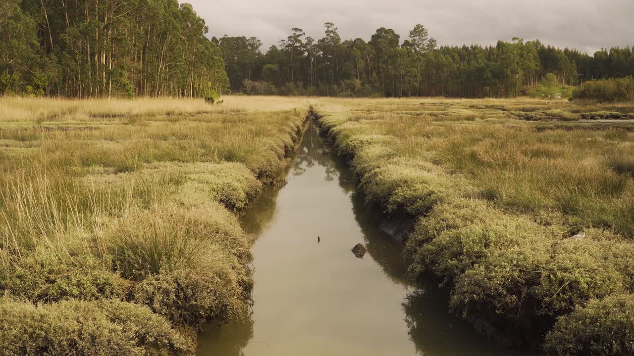 lecho de río fangoso de 4k en marea baja con un poco de agua que fluye río abajo hacia el océano