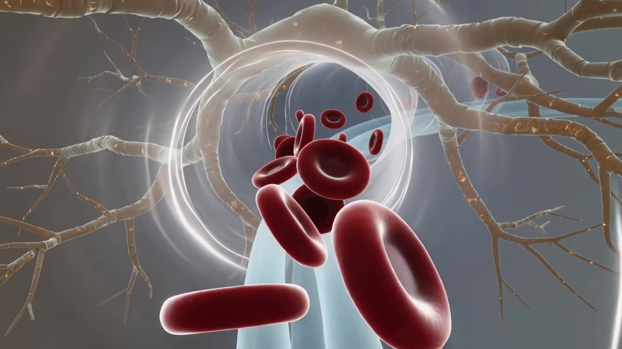 Avvio della riproduzione, un gruppo di eritrociti che scivolano attraverso il lume vascolare, mostrando il flusso del plasma.
