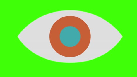 eye icon on a green screen background