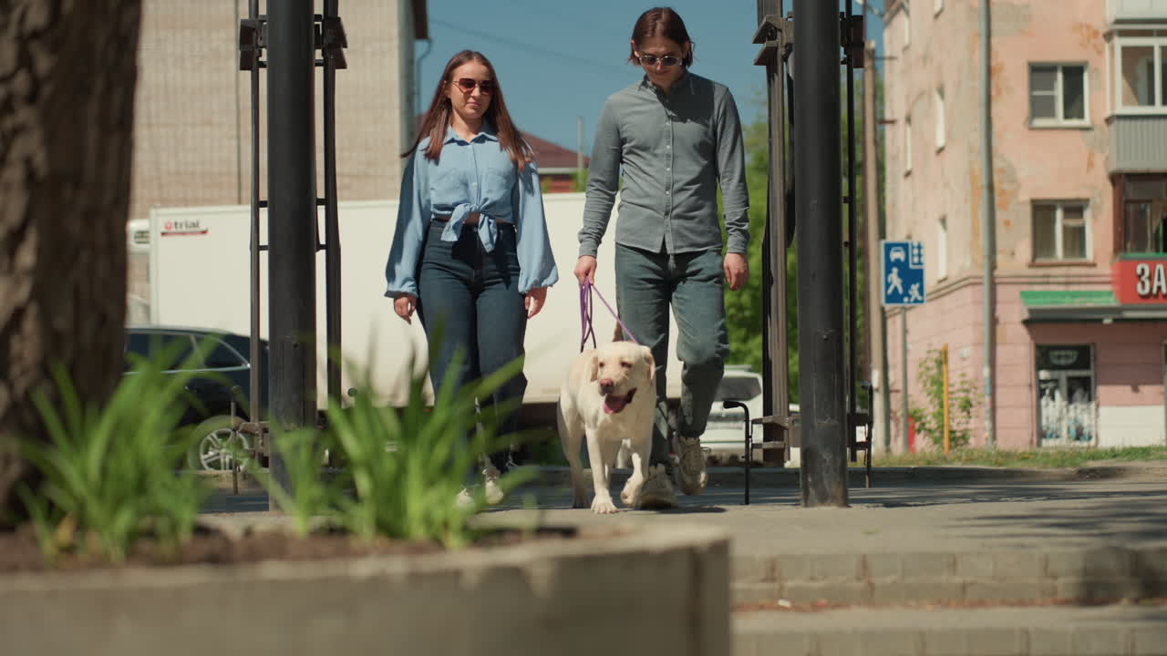 Pareja blanca paseando a su perro por la acera, con macetas y una puerta en primer plano, escaparates y señalización de accesibilidad al fondo, viandantes relajados pasan por allí, la pareja pasea con calma