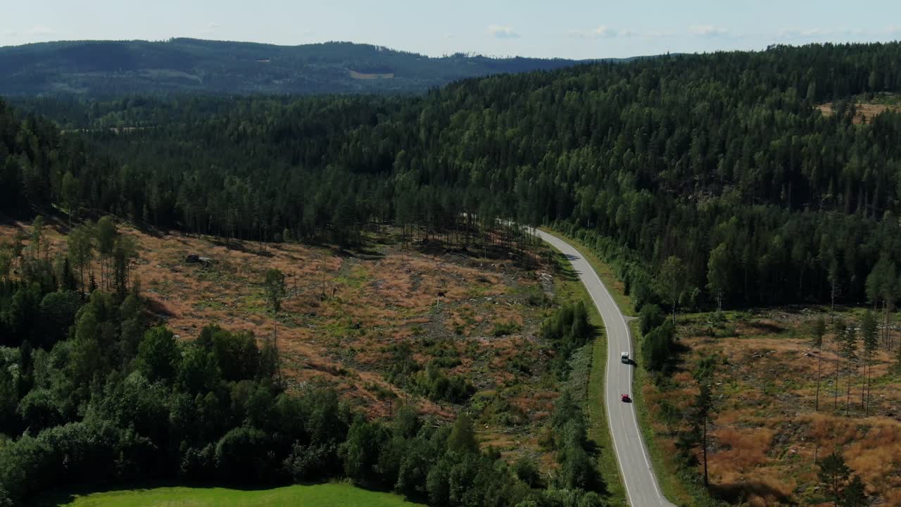 vista aérea cinematográfica de los coches que conducen por la carretera de alta velocidad a través del bosque en las montañas en un día soleado