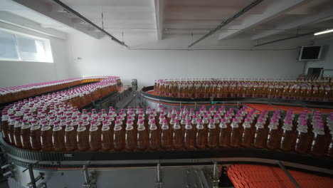 bottling plant conveyor belt