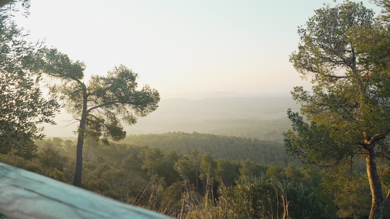 camera moves forward to show a beautiful view of green trees and misty mountains during golden hour
