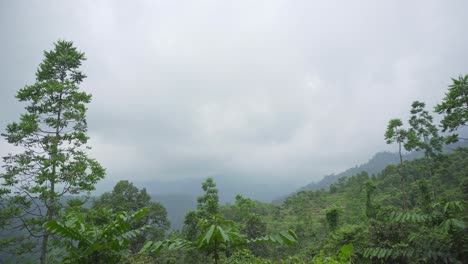 Durante-Los-Monzones,-El-Paisaje-O-El-Paisaje-Montañoso-Del-Norte-De-Bengala-Se-Vuelve-Hermoso