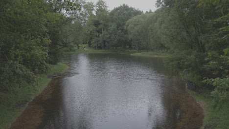 Tobogán-Lateral,-Lago-En-Medio-Del-Bosque-Rodeado-De-árboles-Y-Hierba-Verde-En-El-Día-De-Verano