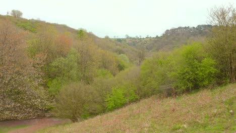 Herbstfrische-Naturlandschaft-Am-Fuße-Der-Cheddar-Schlucht-In-England,-Großbritannien