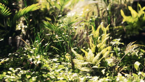 ジャングルの草と植物を閉じる