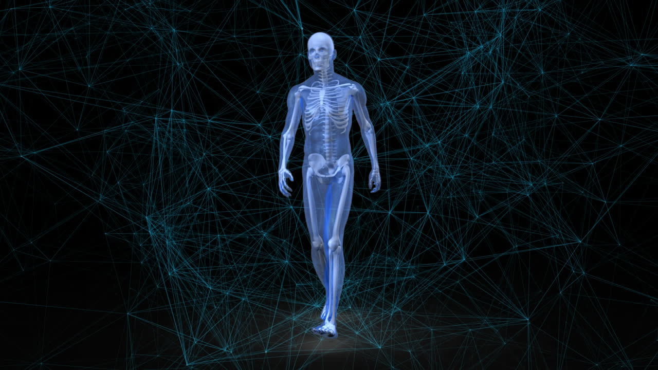 animación de la red de conexiones a través de humanos digitales