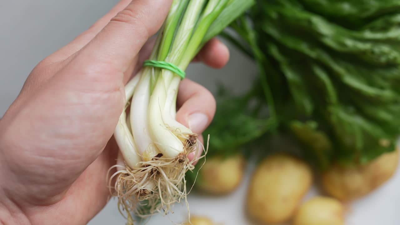 새로 수확 한 초록 양파, 감자,