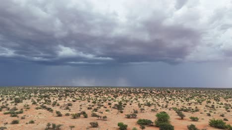 aerial footage of the arid southern kalahari bushveld, dark clouds in the distance