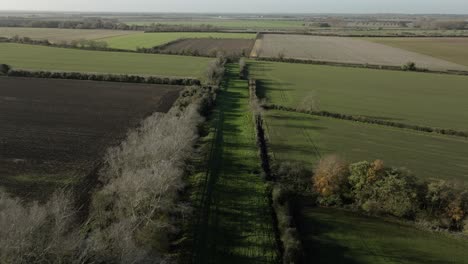 Paisaje-Plano-Cambridgeshire-Reino-Unido-Vista-Aérea