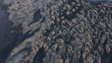 playa de arena negra volcánica bancos de arena con piscinas de agua de mar en la marea baja