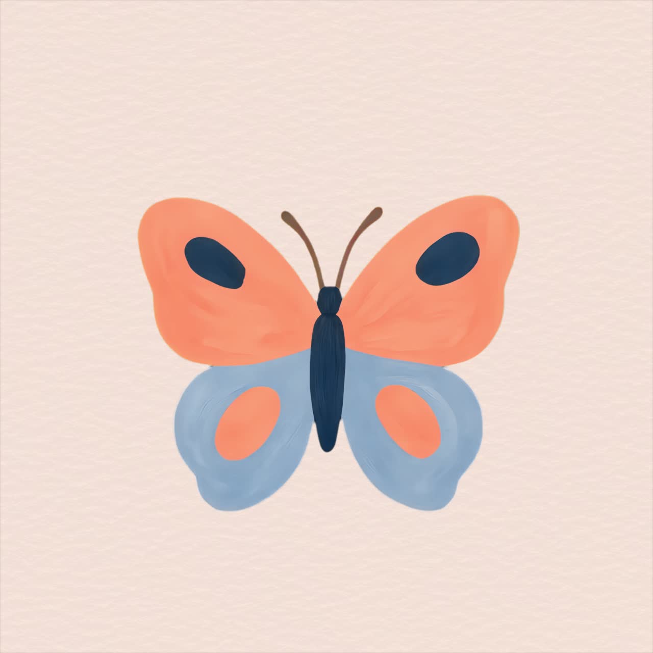 Risorsa animata isolata di illustrazione astratta e colorata di farfalla, video 4K trasparente, alpha