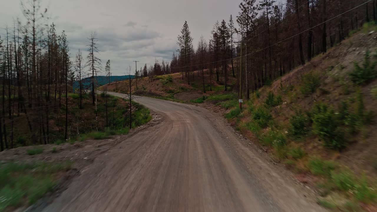 Low flying Aerial over straight gravel dirt road post wild fire forest growing back green yellow brown colors trees green bushes plants regrowth foliage mountainous service forestry road Kelowna BC