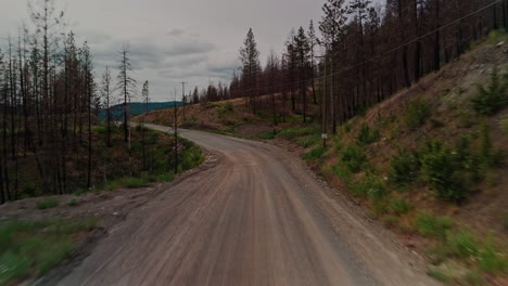 low flying aerial over straight gravel dirt road post wild fire forest growing back green yellow brown colors trees green bushes plants regrowth foliage mountainous service forestry road kelowna bc