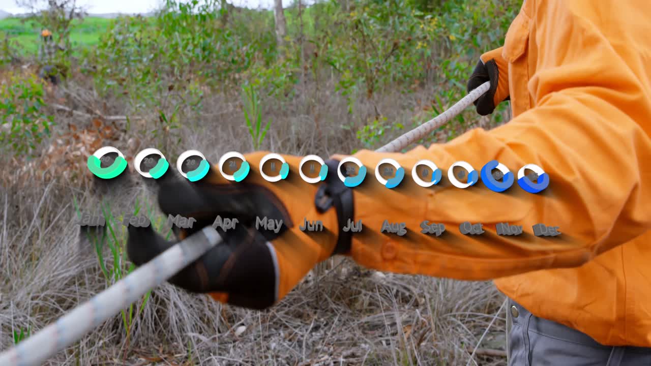 lumberjack 위의 그래프의 애니메이션