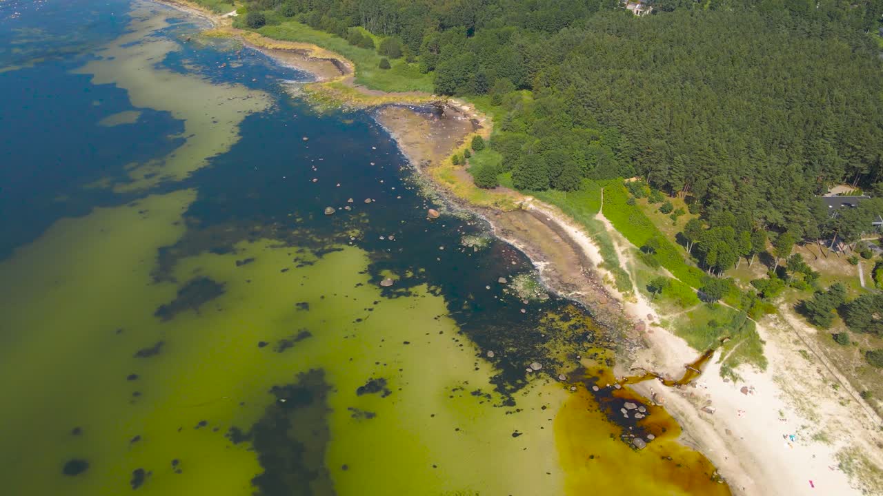 Drone rotates above summer coastal area with sandy shoreline and beach vegetation, evergreen forest lining the shore. Revealing transparent seabed submerged textures from green water to darker patches