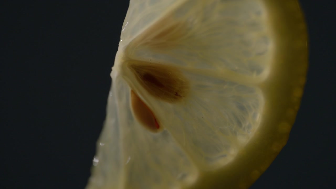 Fetta di limone retroilluminata che rivela una texture agrumata traslucida, lenta rotazione con tremolio su uno sfondo pulito blu scuro.