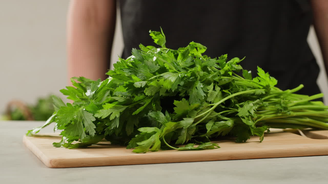 Cilantro parsley cutting by knife close up, chef chop cut coriander aromatic, traditional asian and Mexican cuisine herb studio shot. High quality 4k footage