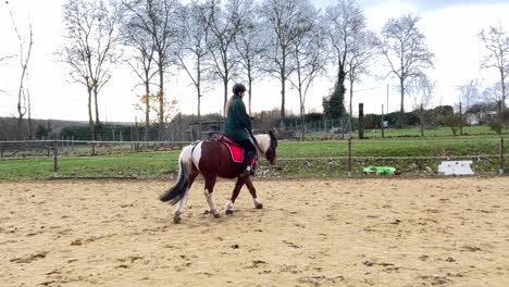 meisje rijdt op haar pony door de paddock