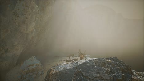acantilado rocoso con playa de arena en la niebla profunda
