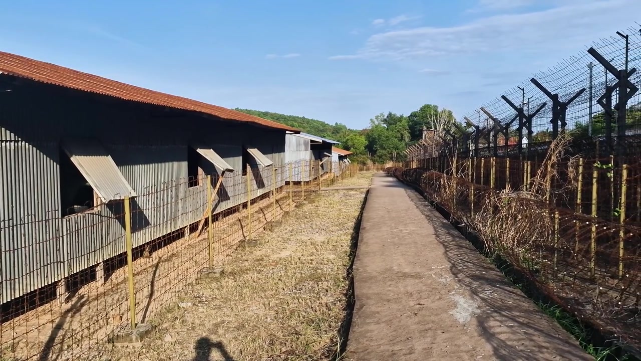 Museo della Prigione di Phu Quoc, Baracche e Recinzione di Filo Spinato, Sito Storico della Guerra del Vietnam