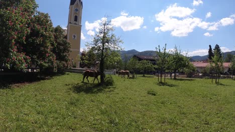 Schliersee-In-Bayern-München-Dieser-Schöne-See-Wurde-Mit-Dji-Osmo-Action-Im-4k-Sommer-2020-Schöne-Pferde-Aufgenommen