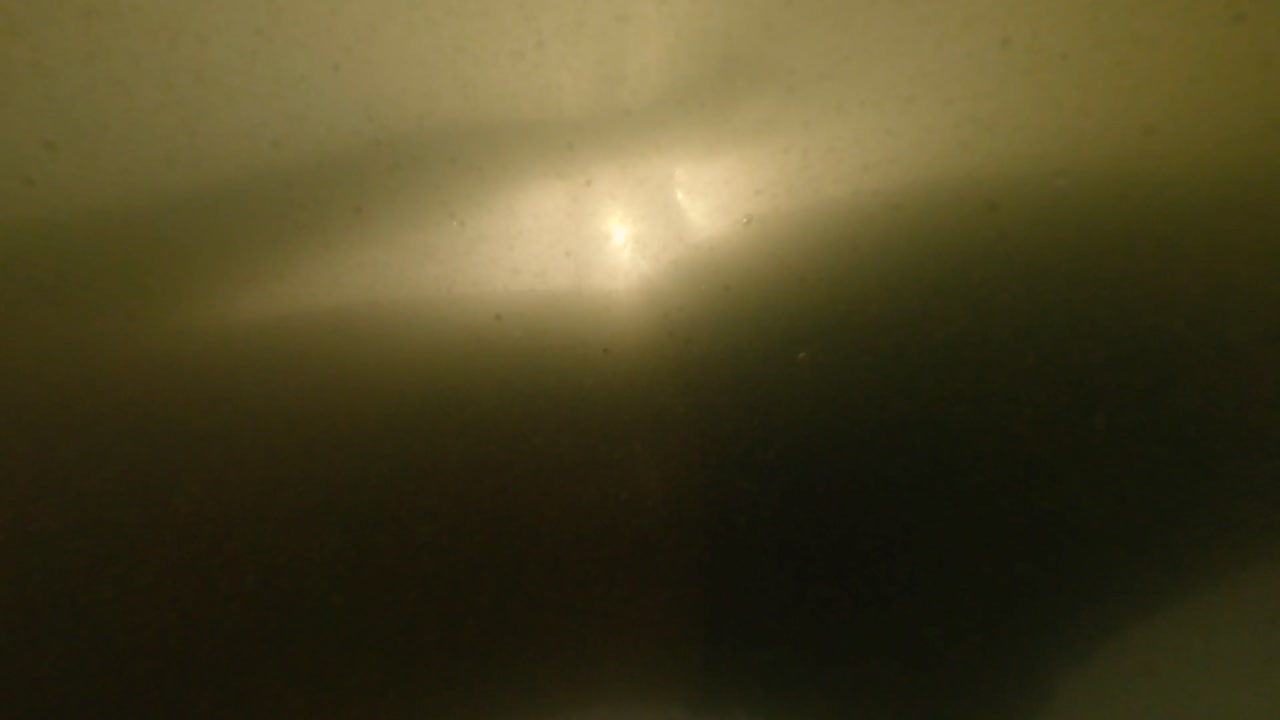 silueta de 4k de nadador nadando bajo el agua en cámara lenta mientras pasa por la cámara, oosterschelde, kruiningen, zelanda, países bajos