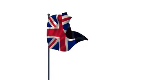 bandera de la unión contra un fondo blanco