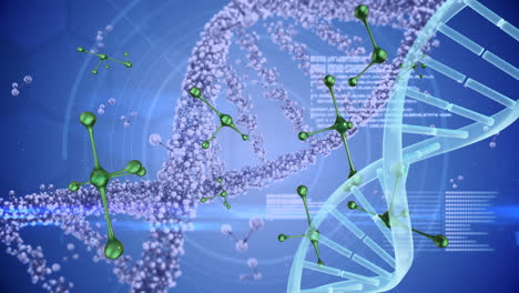 데이터 프로세싱을 통해 dna 스트랜드와 녹색 분자의 애니메이션