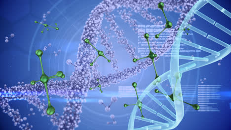 animation of dna strand and green molecules over data processing