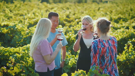 multi-ethnic group of tourists tasting wine in the vineyard wine tour and a trip to the place of pro