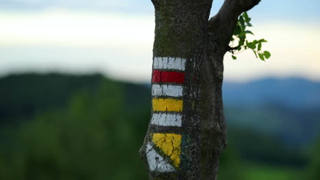 Hiking-sign-on-a-tree-zoom-out-camera-movement-during-sunset