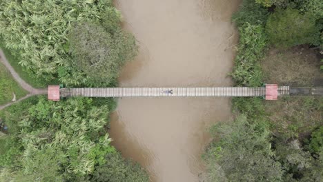 aerial rises from woman lying on jungle suspension bridge in peru