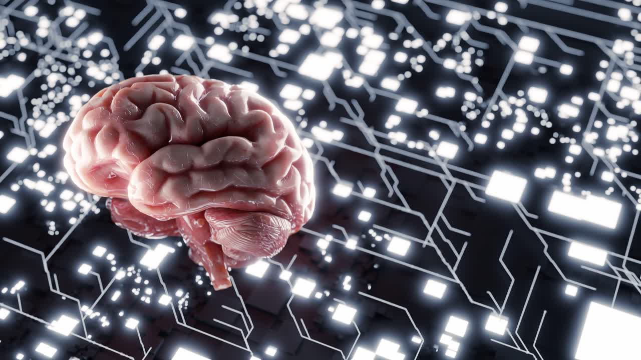 Human brain model floating over glowing white digital circuit background. 3D render of brain and illuminated tech network. Artificial intelligence and neural data flow concept.