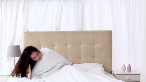예쁜 갈색은 침대에서 깨어난다