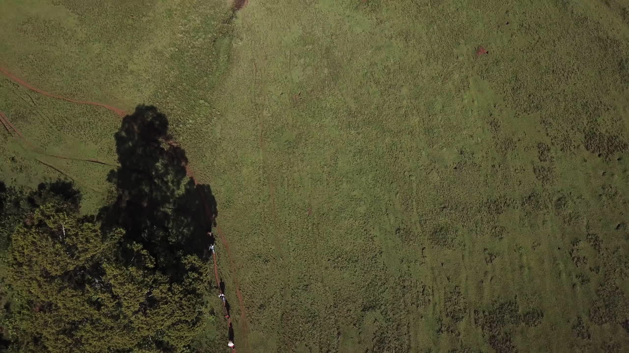 케냐의 그린웨이를 따라 걷는 등산객 그룹의 4k 드론 보기