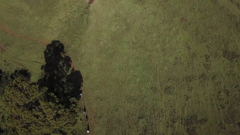 4K-Drohnenansicht-Einer-Gruppe-Von-Wanderern,-Die-Auf-Einem-Greenway-In-Kenia-Spazieren