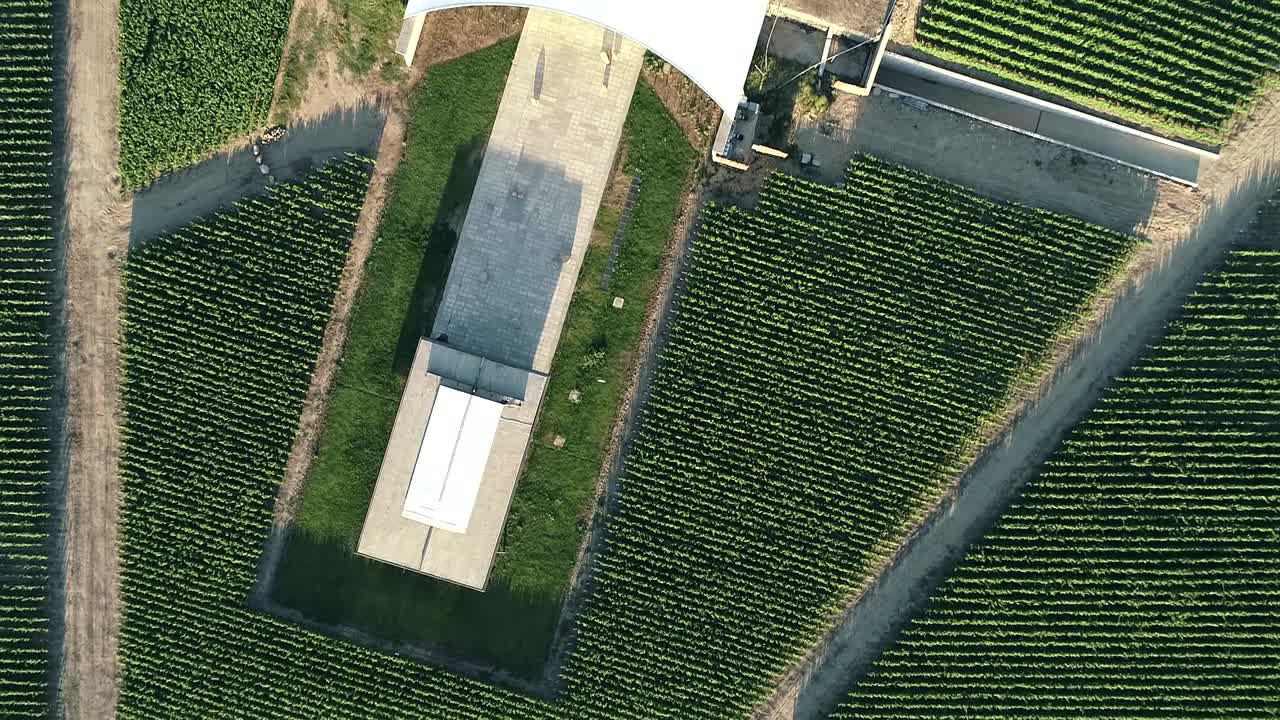 filmaciones de vista aérea de viñedo chileno y tranque