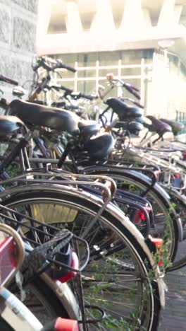 parked bicycles in a city