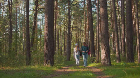 two ladies strolling through a lush, sunlit forest, one woman wears a blue scarf, gazing into the distance with sunlight reflecting off her hair, while the other looks down thoughtfully