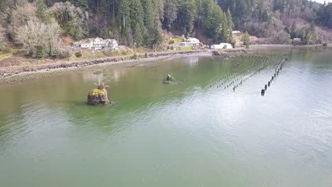 volando por un árbol solitario en una isla rocosa en la bahía con un dron 1080p