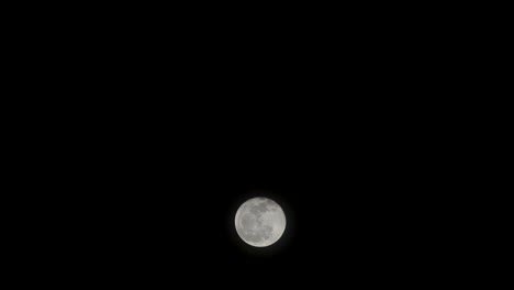 la luna llena se mueve en el fondo negro